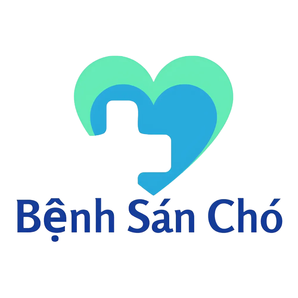 benhsancho.net